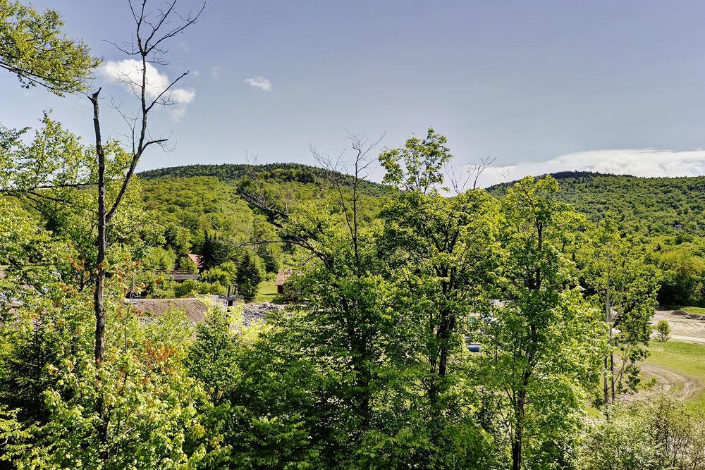 Condo 305 33 Chemin Du Hameau By Les Chalets Alpins 斯托纳姆 外观 照片